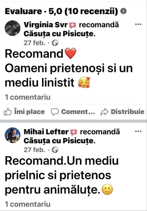 Pet Sitter & Pet Sitting - Dog & Cat Boarding