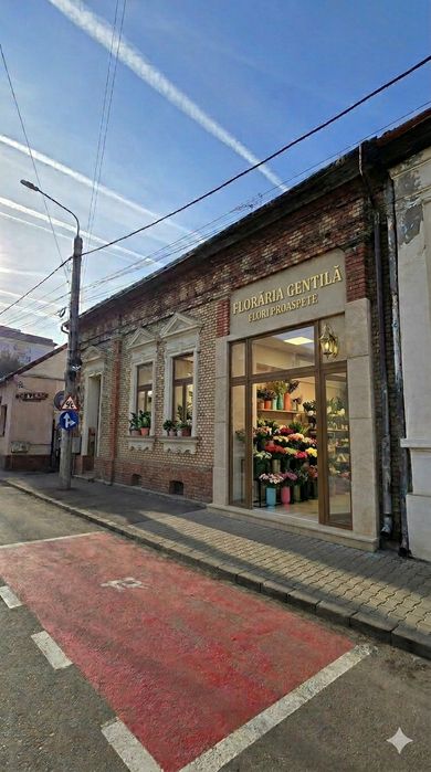 Casă de Vânzare Centru - Satu Mare