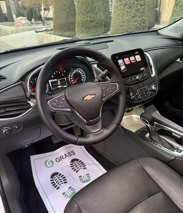 MALIBU-2 / 2.4 Rangi oq