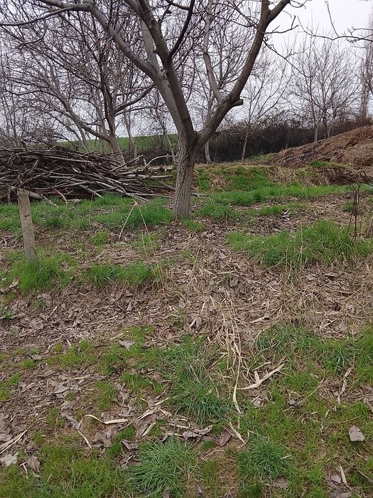 Yer sotiladi srochno