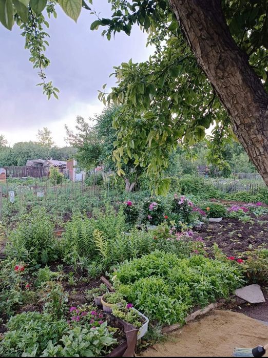 Продам дачу на правом берегу