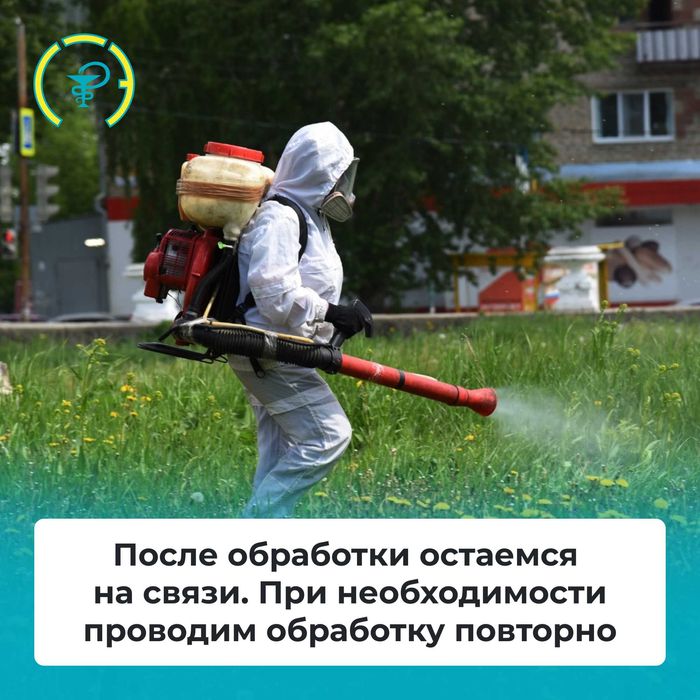 Дезинфекция уничтожение клопов тараканов блох муравьёв крыс плесени