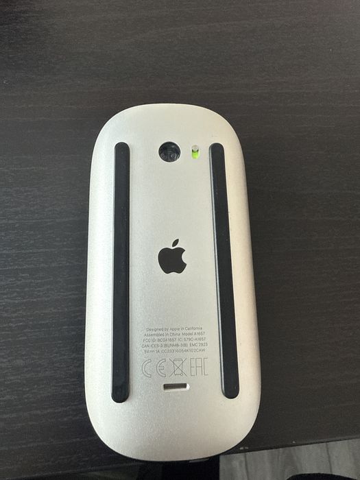 Apple magic mouse