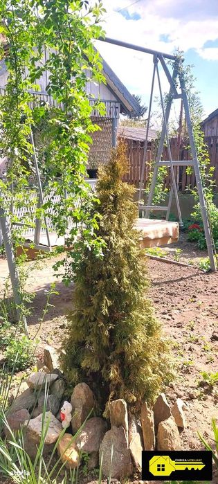 Casa solida, evreiasca , Sacuieni, gradina mare