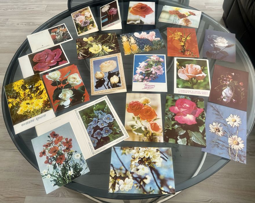 206 броя картички