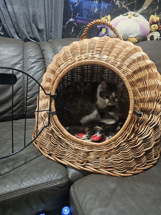 Coș de transport  culcuș căței/pisici