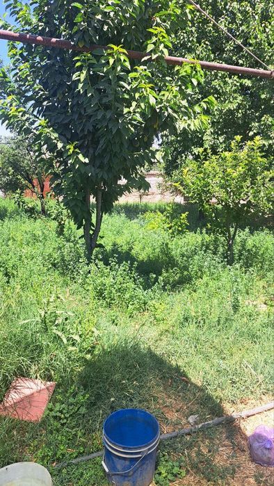 Участок 3соток 10000 $ за одну сотку