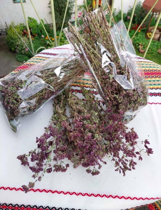 Домашно приготвен