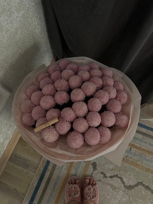 Гүл сатылады  ұзаққа шыдайды .