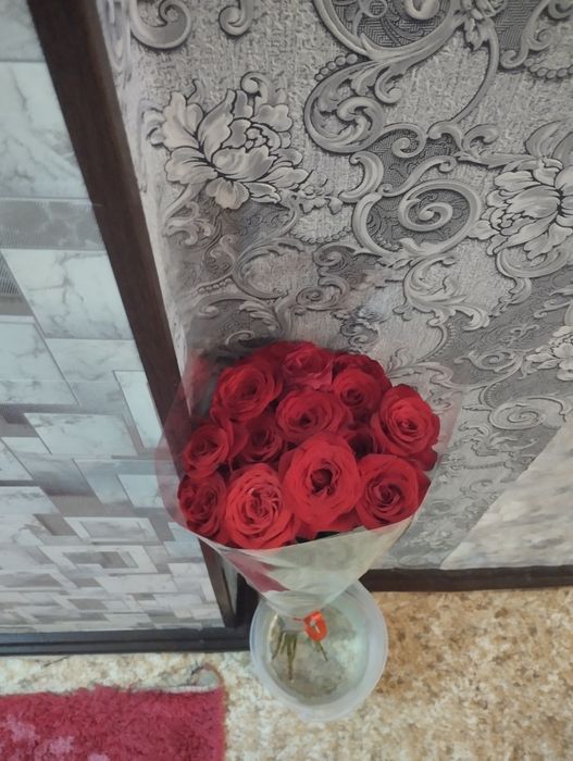 Роза14 свежие и красивые