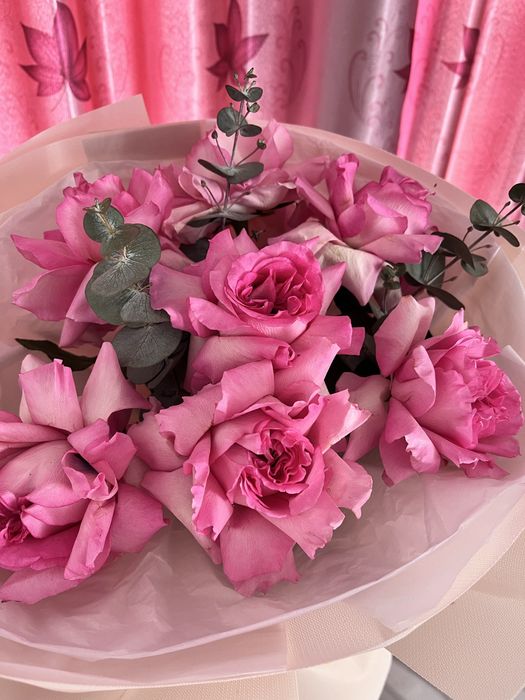 7 штук розовых роз