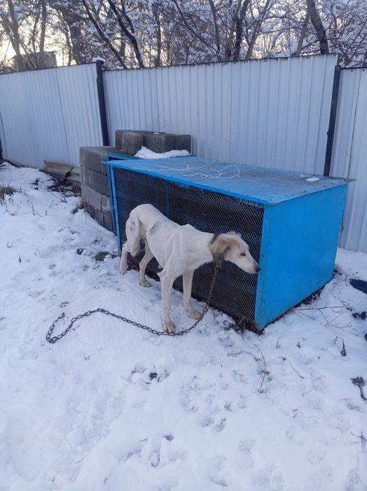 Продам Продам Продам