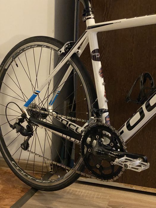 Cursieră Focus culebro 2015