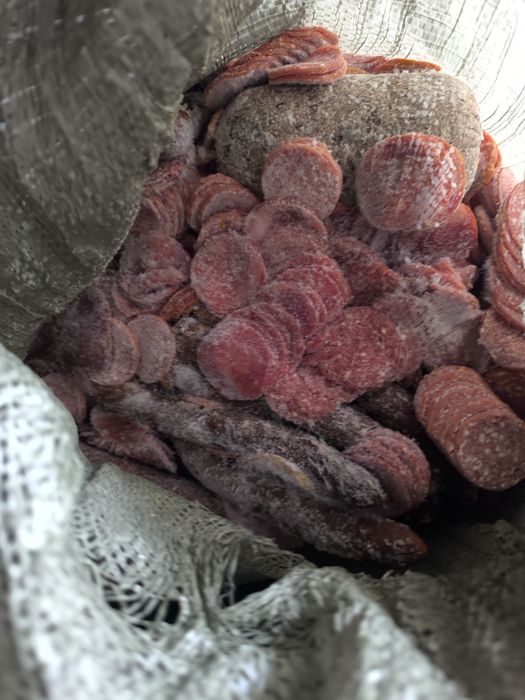 Корм для животных