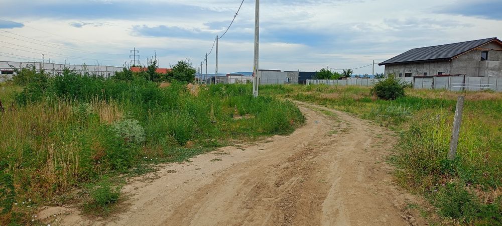 Teren Dedovita Noua