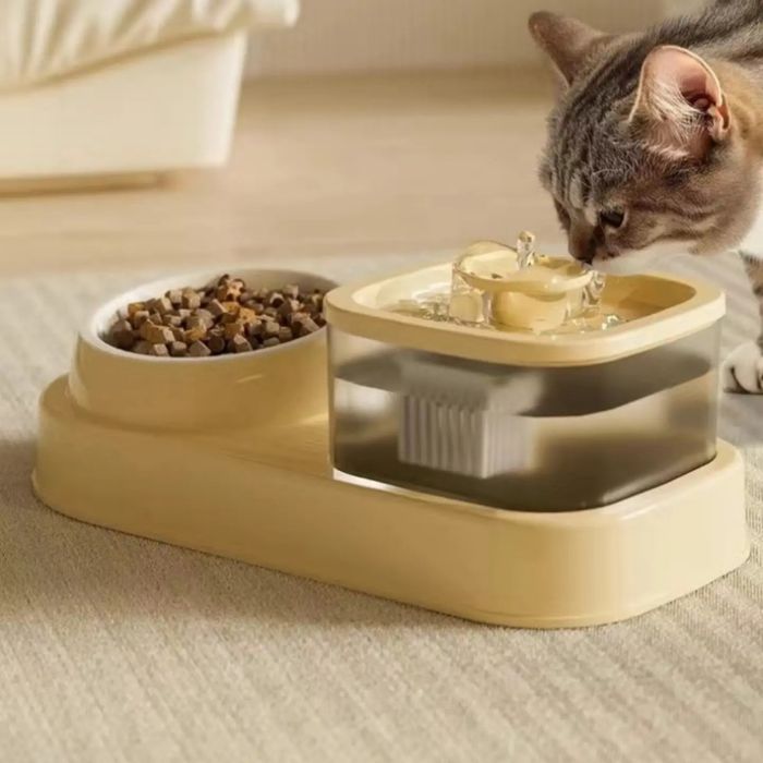 Чёрно-белая миска для домашних питомцев из керамики

Цена 140 000т