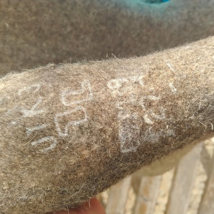 Валенки, новые СССР.