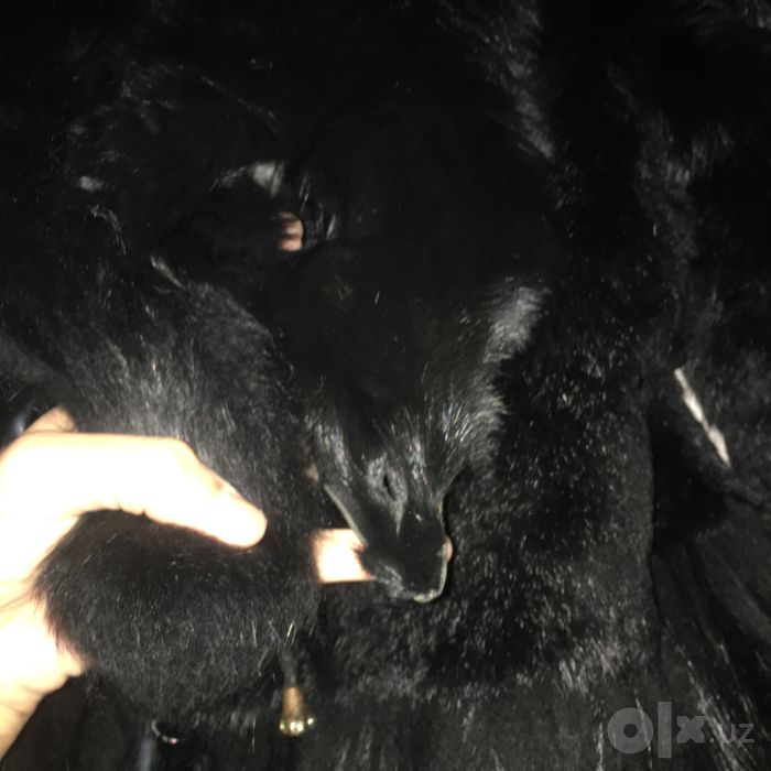 Shuba naturalka akuratni kiyilgan tokilgan joylari yoq