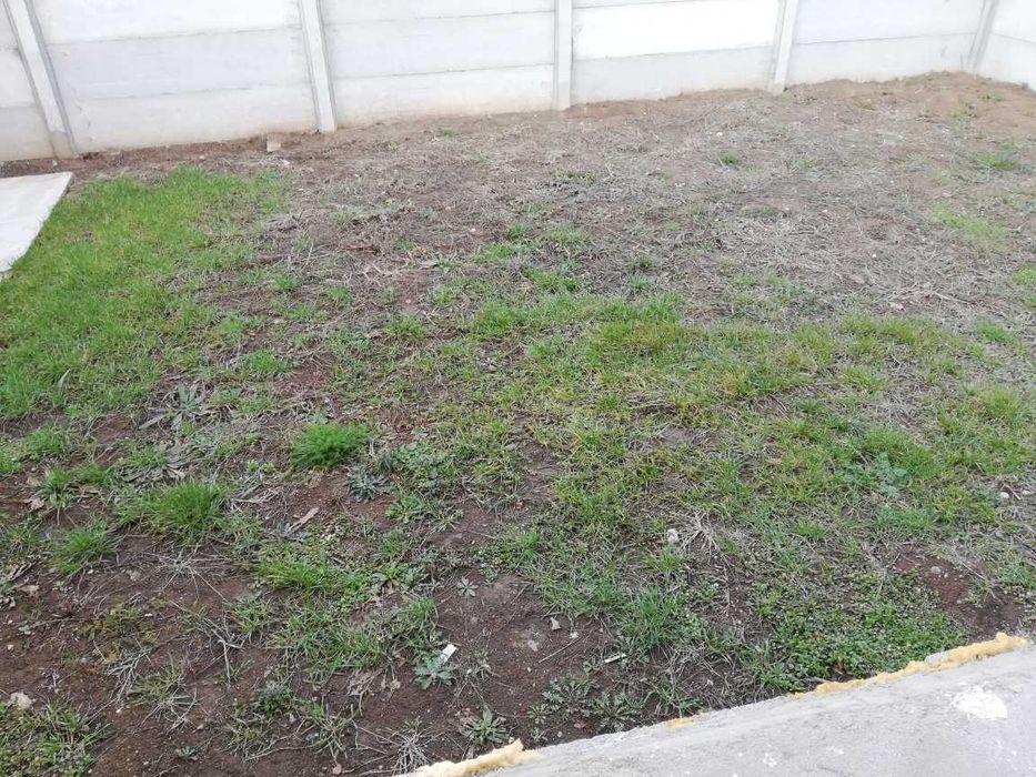 Vile calitative unice cu fundatia solida, cu toată structura solida