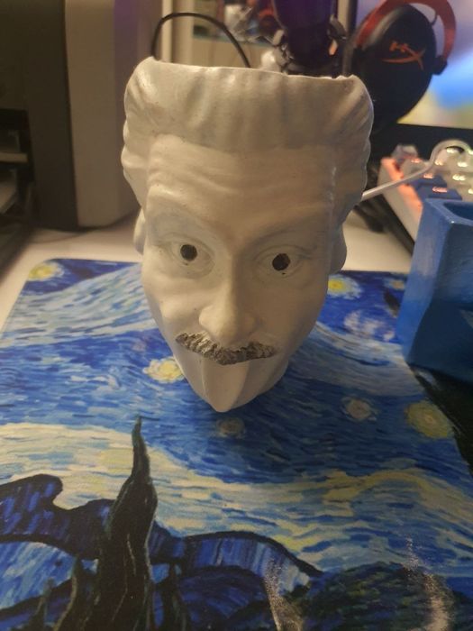 Эйнштейн Гипсовая фигура, кашпо