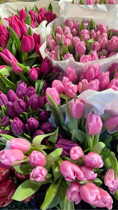 Тюльпаны оптом на 8 марта