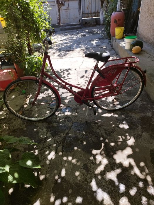 Bicicletă adulți