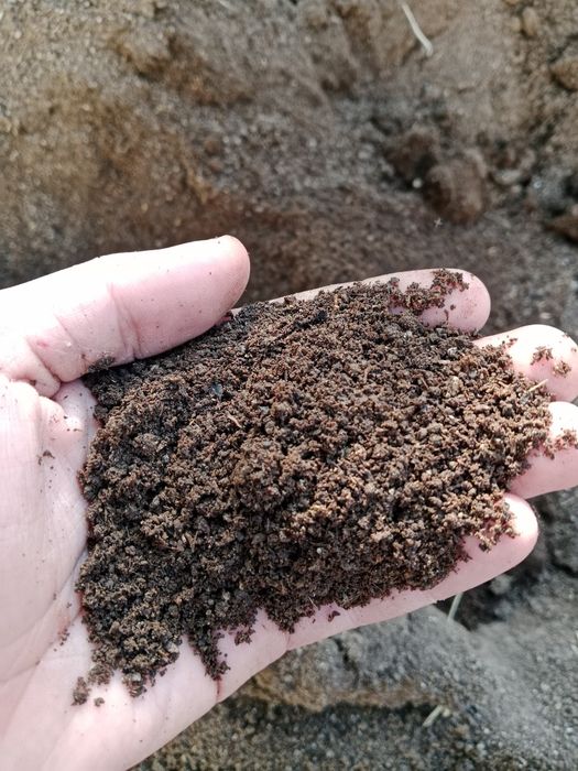 Biogomus kafolati 100%