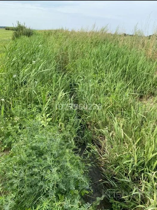 Земельные участки вдоль бетонки