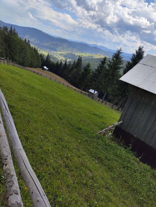 Teren de vanzare 1 ha – Perivata, Argel, com. Moldovița, Suceava