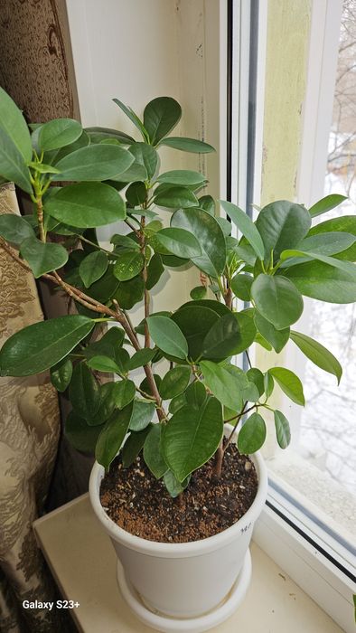 Скидка от 1500тг продам