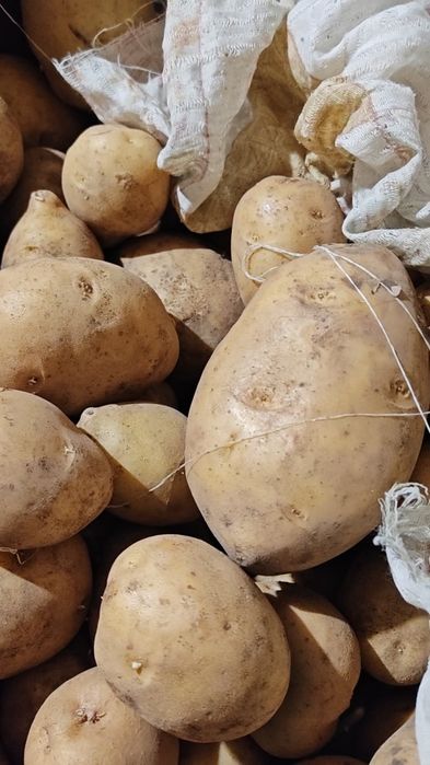 Дом, сад, огород