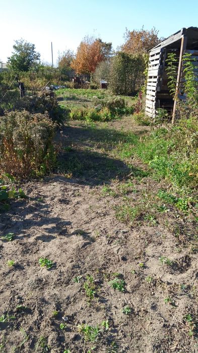 Продам дачу ООСЛ притобольский