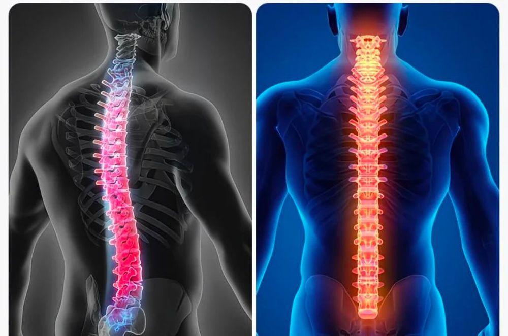 ‼️Корсет с металлическими пластинами‼️
