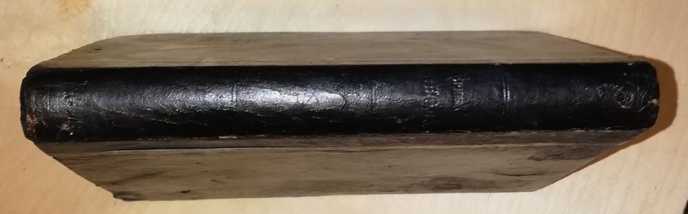 Е. Янжул "Американская школа".