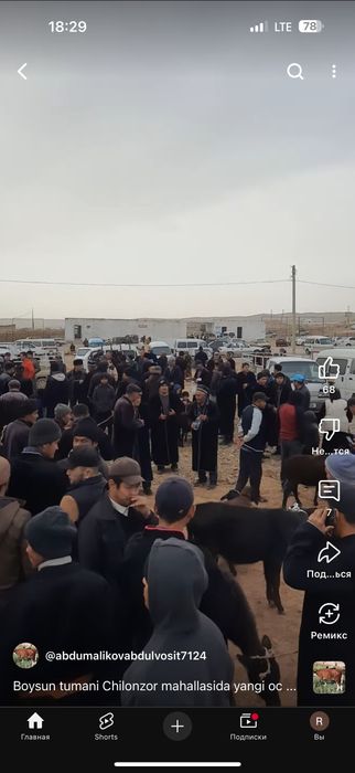 Mol bozori va qoshimcha ferma va tovuqxonalar bir joyda sotiladi.