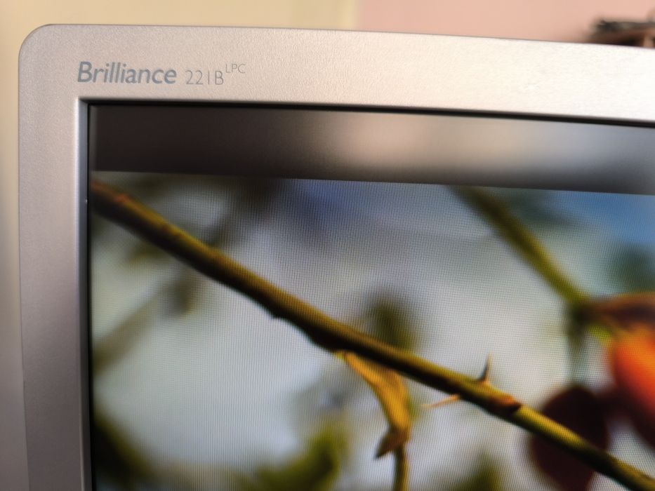 Монитор Philips Brilliance 221B3L