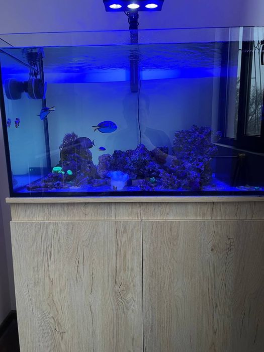 Продаётся морской аквариум 280 л