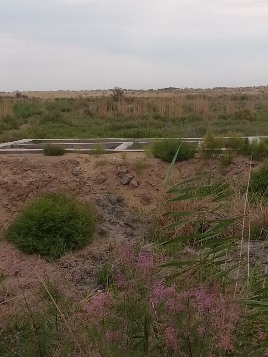 Жой урни сотилади