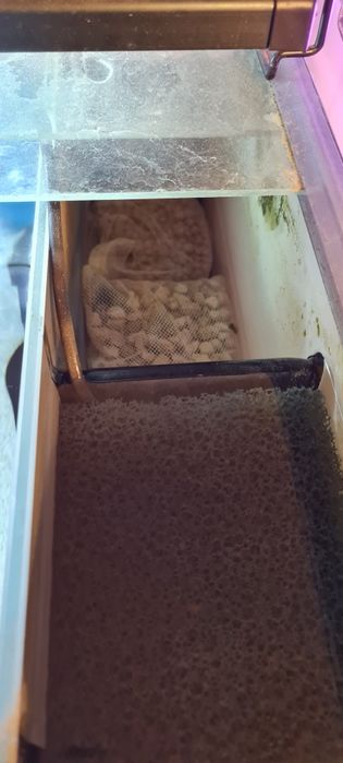 Vand 2 acvarii complet dotate cu standuri cu tot