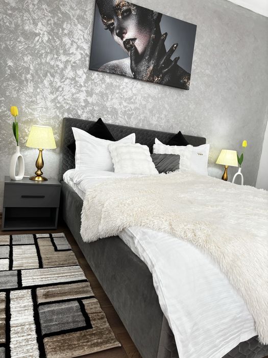 Apartament 1 Camera In Regim Hotelier Langa Iulius Mall