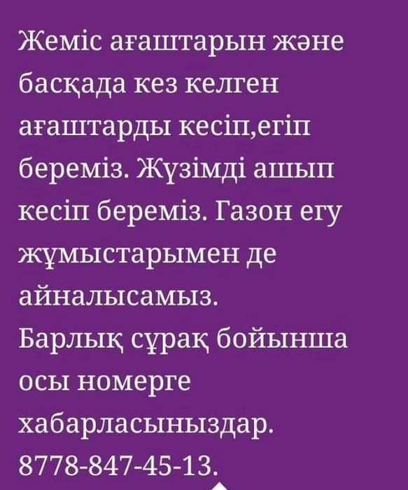 Жеміс ағаштарын кесеміз