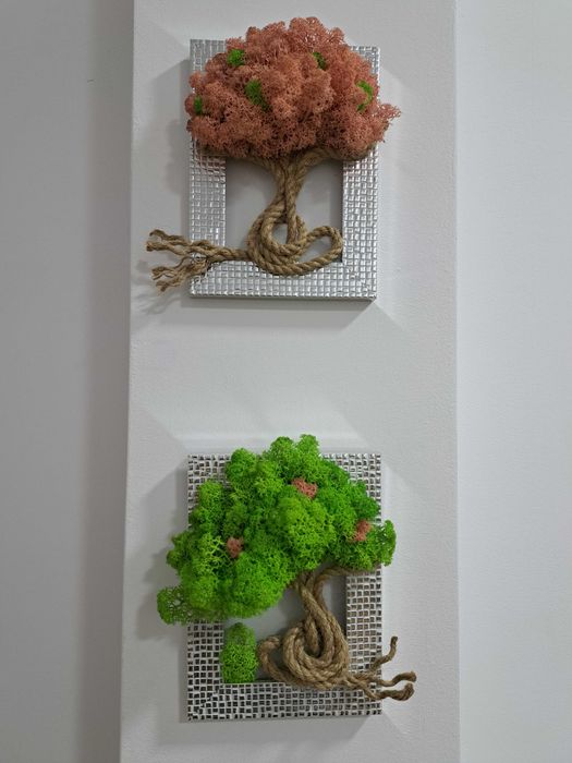 Декоративни пана със скандинавски мъх.