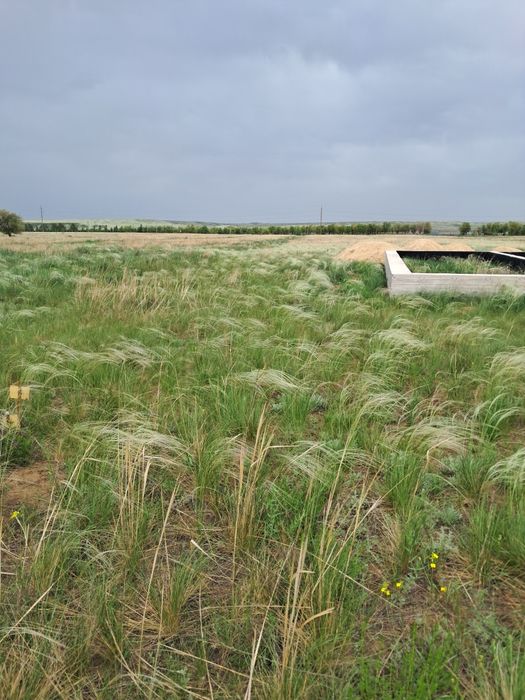 Земельный участок