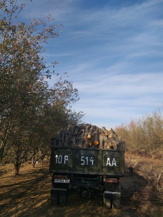 Драва отн даставка киламиз
