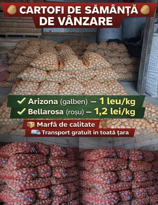 Cartofi alb si rosu de samanta si animale