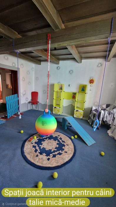 Casa de vânzare-Cefa-Bihor