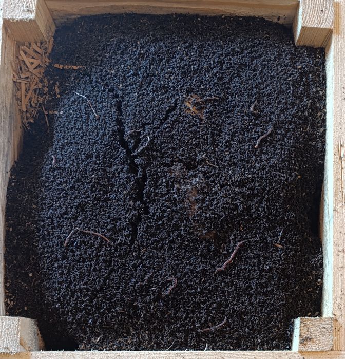 Biohumus / Vermicompost Pur - Ingrasamant Natural Humus de Râme