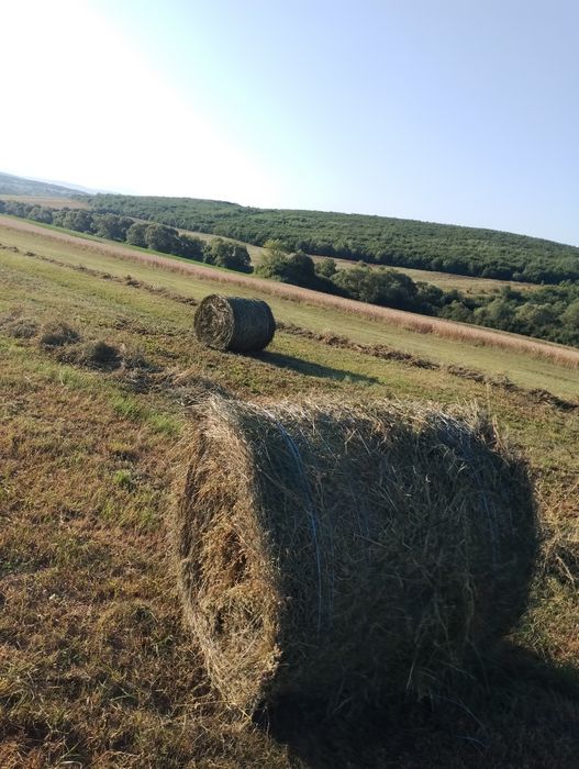 De vânzare baloți