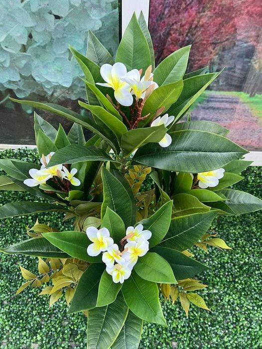 Продаю искусственные цветы и коврики