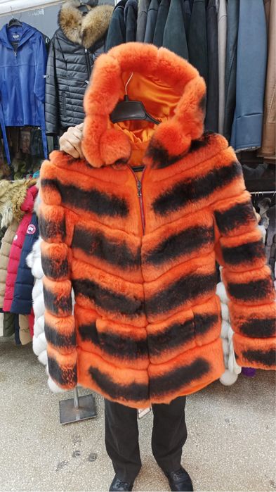 Vand chinchilla rex toate culorile si modelele la 1300 lei!